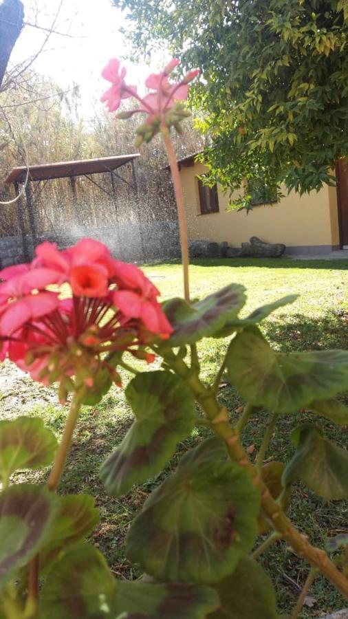Mamaku Huasi Hotel Cafayate Eksteriør billede