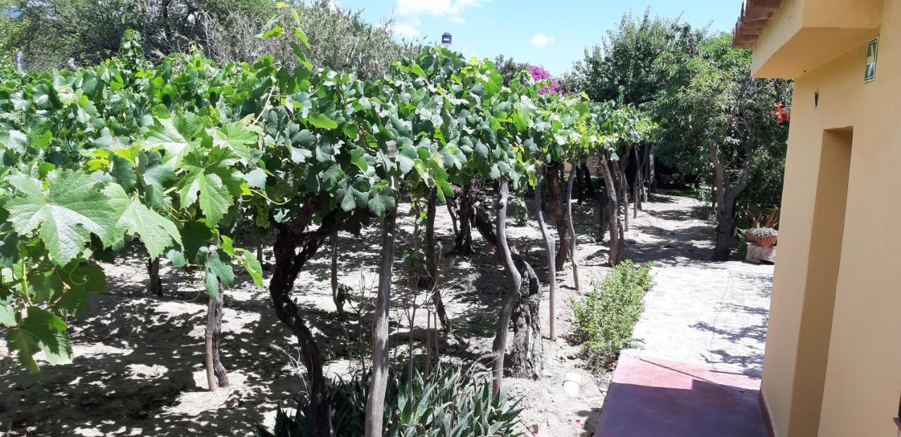 Mamaku Huasi Hotel Cafayate Eksteriør billede