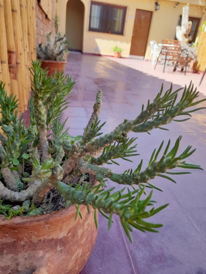 Mamaku Huasi Hotel Cafayate Eksteriør billede